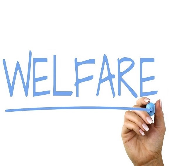 ‘Welfare Index’ Unipol-Ambrosetti. Zottis e Bigon (PD): “Veneto in coda conferma nostre denunce. Dopo la mancata occasione del bilancio, serve piano di emergenza immediato e riforma ATS”.