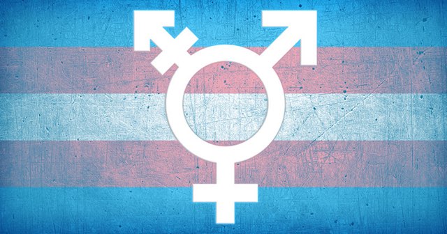 Camani (Pd): “Transgender, dall’assessore Donazzan ennesima risposta inadeguata sul contrasto alle discriminazioni”